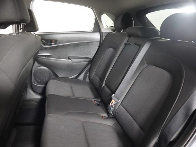 Photo of 2022 Cactus Fern Hyundai KONA
