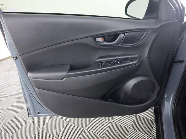 Photo of 2022 Cactus Fern Hyundai KONA