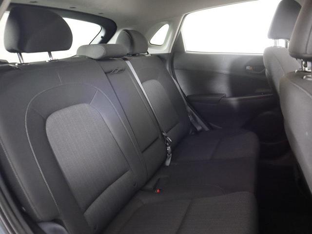Photo of 2022 Cactus Fern Hyundai KONA
