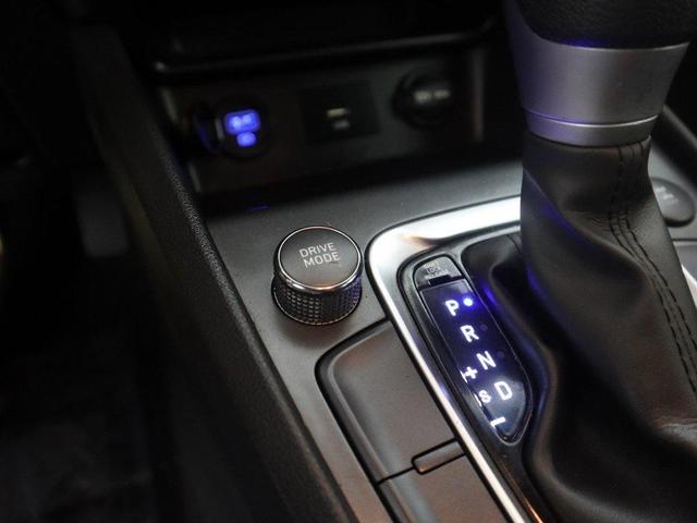 Photo of 2022 Cactus Fern Hyundai KONA