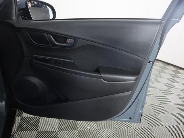 Photo of 2022 Cactus Fern Hyundai KONA
