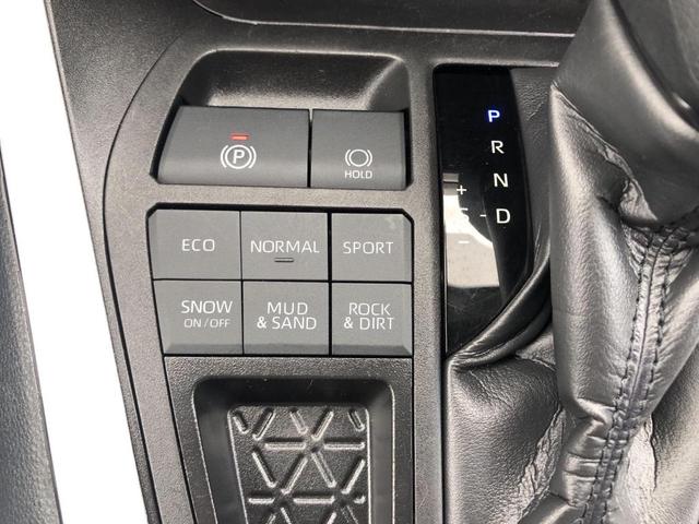 Photo of 2024 Ice Toyota RAV4