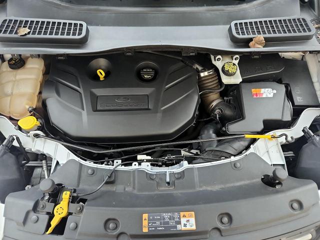 Photo of 2016 White Ford Escape