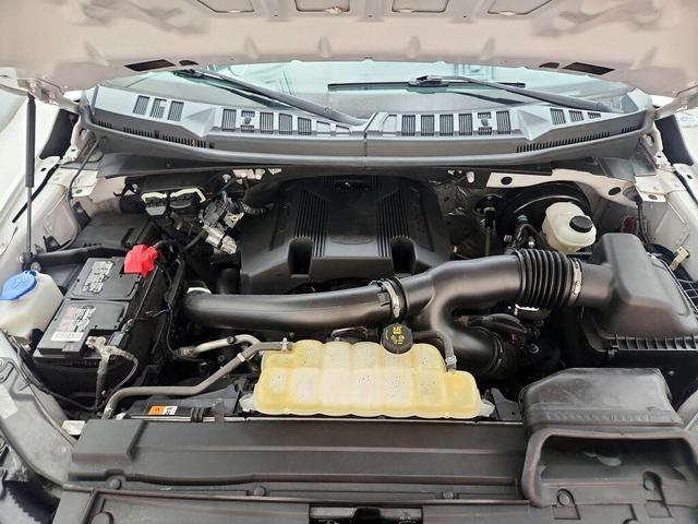 Photo of 2019 White Ford F-150