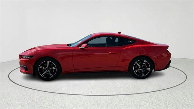 Photo of 2024 Race Red Ford Mustang