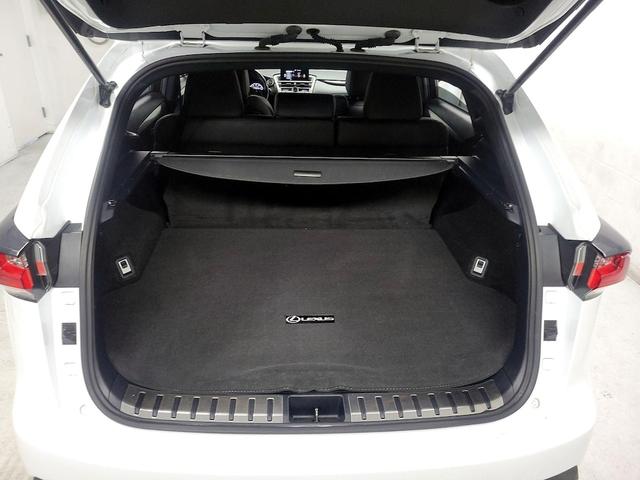 Photo of 2017 White Lexus NX 200t
