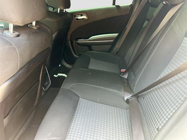 Photo of 2023 Triple Nickel Clearcoat Dodge Charger