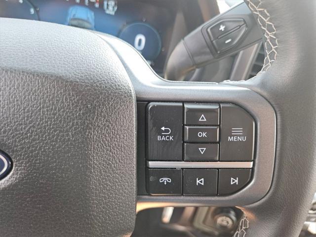 Photo of 2024 Gray Metallic Ford F-150