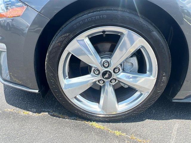 Photo of 2018 Magnetic Ford Mustang