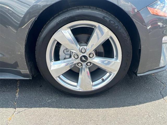 Photo of 2018 Magnetic Ford Mustang