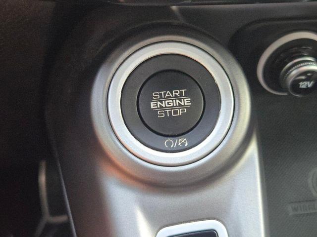 Photo of 2024 8 Ball Dodge Hornet
