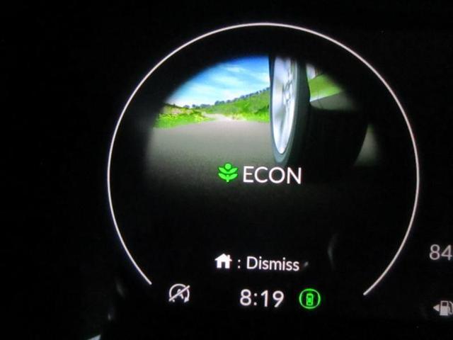 Photo of 2024 Platinum White Pearl Honda CR-V