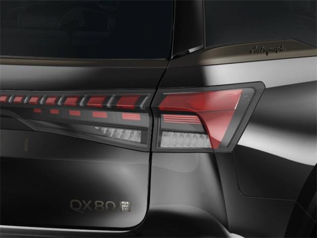 Photo of 2025 Mineral Black INFINITI QX80