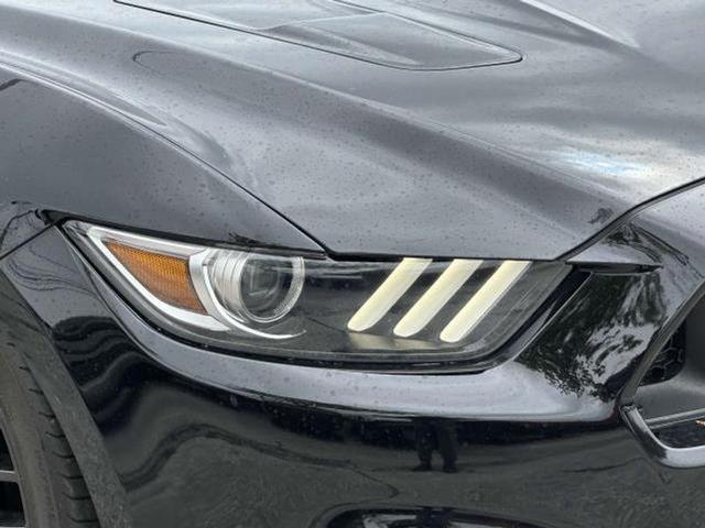 Photo of 2017 Shadow Black Ford Mustang
