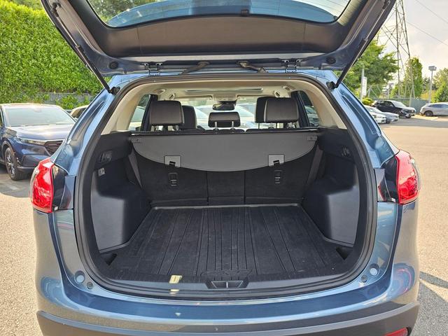 Photo of 2019 Azores Green Metallic Audi SQ5