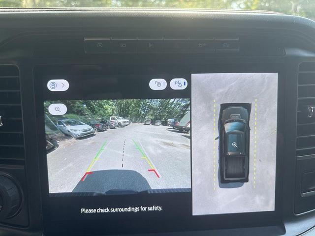 Photo of 2024 Avalanche Gray Ford F-150
