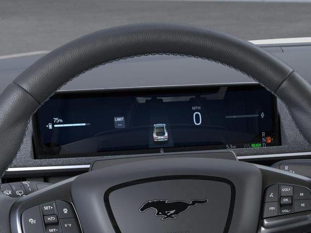 Photo of 2025 Green Metallic Ford Mustang Mach-E