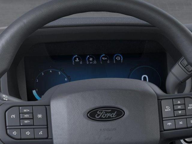 Photo of 2025 Black Metallic Ford F-150