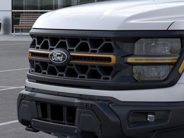 Photo of 2025 Silver Metallic Ford F-150