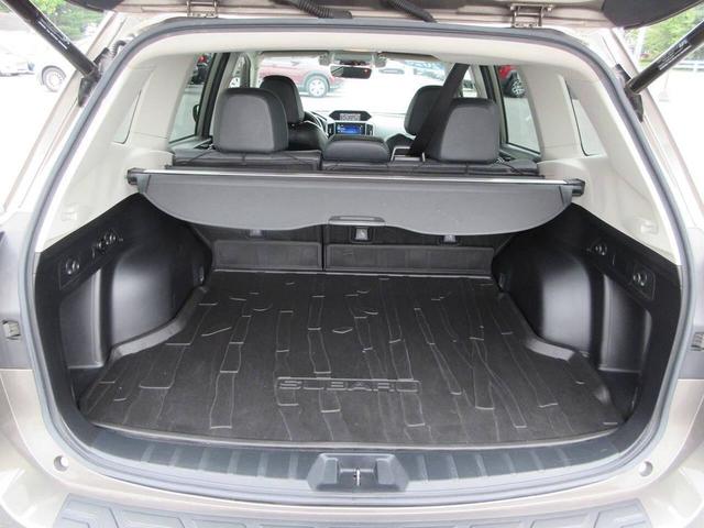 Photo of 2020 Sepia Bronze Metallic Subaru Forester