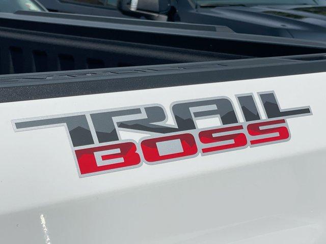 Photo of 2024 Summit White Chevrolet Silverado 1500