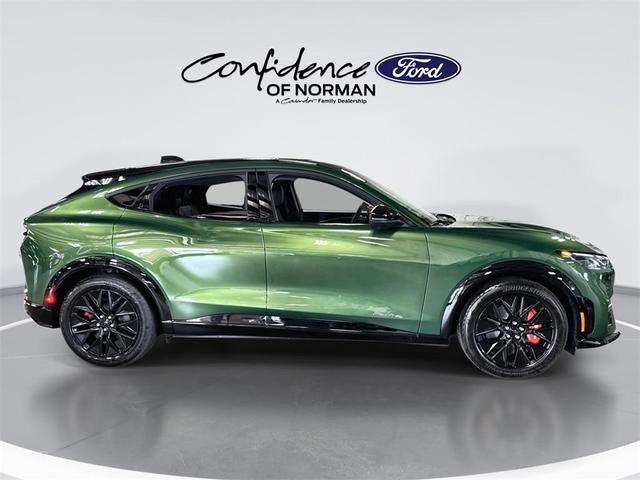 Photo of 2025 Eruption Green Metallic Ford Mustang Mach-E