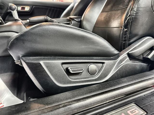 Photo of 2019 Ruby Red Metallic Tinted Clearcoat Ford Mustang