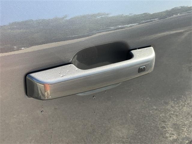 Photo of 2024 Gray Metallic Ford F-150