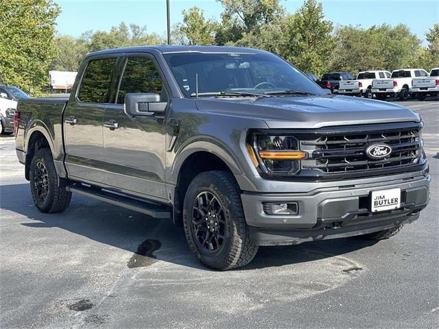 Photo of 2024 Gray Metallic Ford F-150