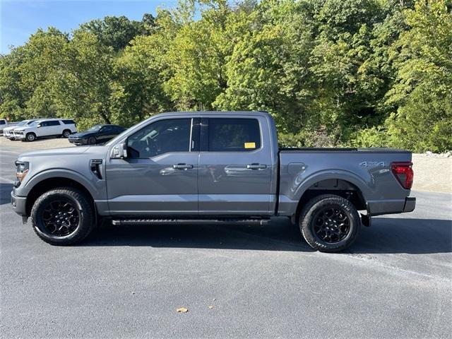 Photo of 2024 Gray Metallic Ford F-150