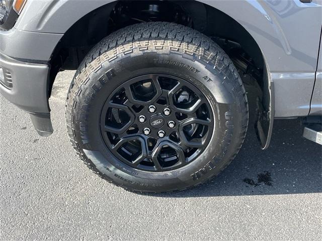 Photo of 2024 Gray Metallic Ford F-150