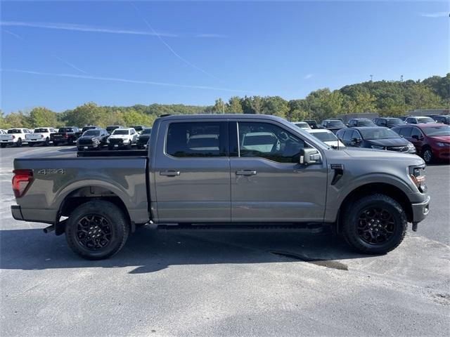 Photo of 2024 Gray Metallic Ford F-150