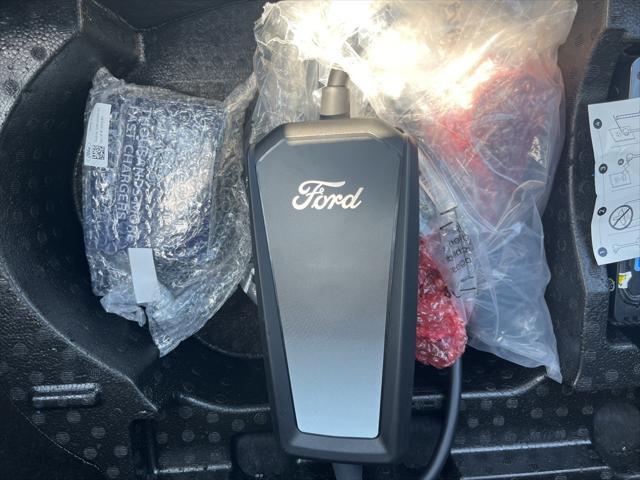 Photo of 2025 Glacier Gray Metallic TriCoat Ford Mustang Mach-E