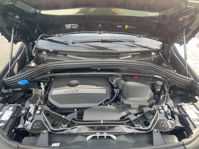 Photo of 2025 San Remo Green Metallic BMW X1