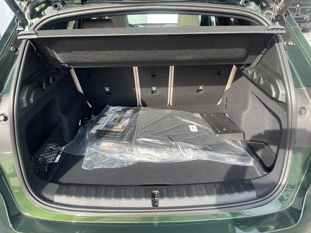 Photo of 2025 San Remo Green Metallic BMW X1