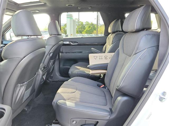 Photo of 2025 Hyper White Hyundai PALISADE