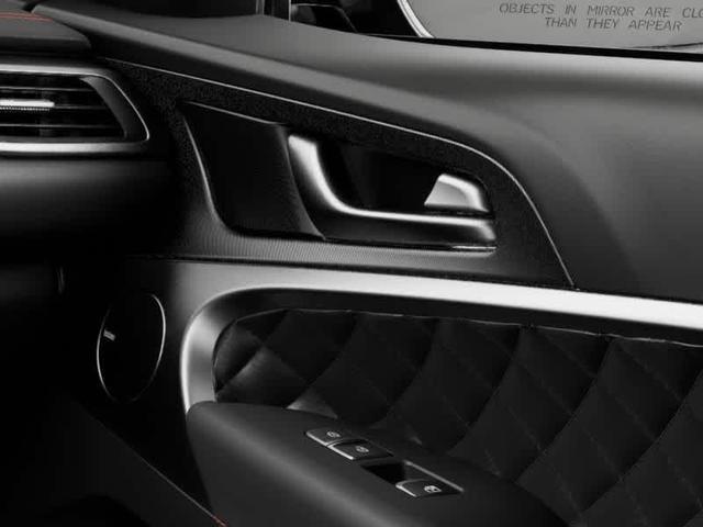 Photo of 2025 Vik Black Genesis G70