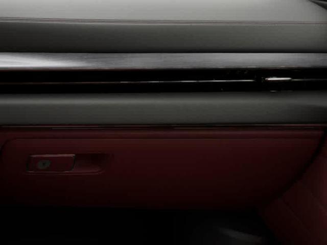 Photo of 2025 Vik Black Genesis GV80