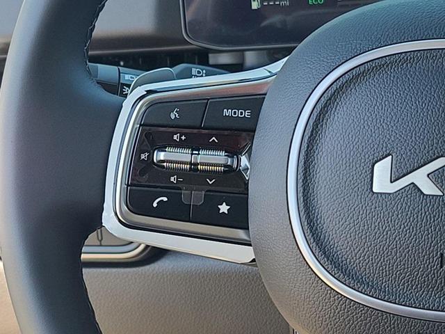 Photo of 2025 Panthera Metal Kia Carnival Hybrid