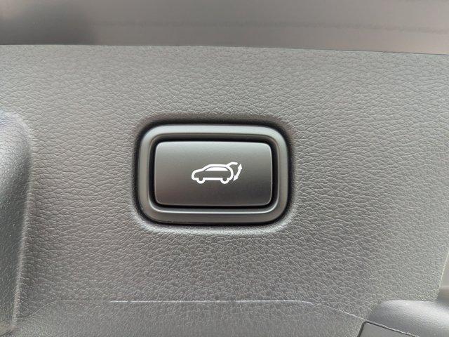 Photo of 2026 Ebony Black Kia Sportage