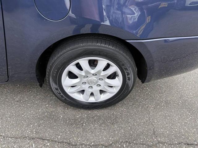 Photo of 2009 Blue Kia Sedona