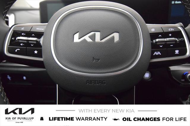 Photo of 2025 Ebony Black Kia Sorento