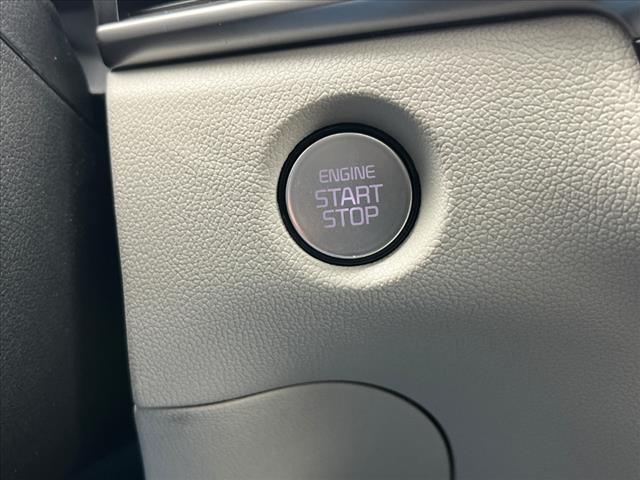 Photo of 2025 Panthera Metal Kia Sorento