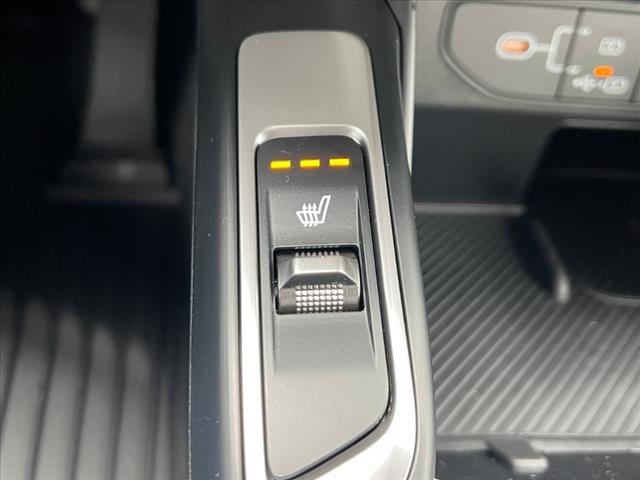Photo of 2025 Panthera Metal Kia Sorento