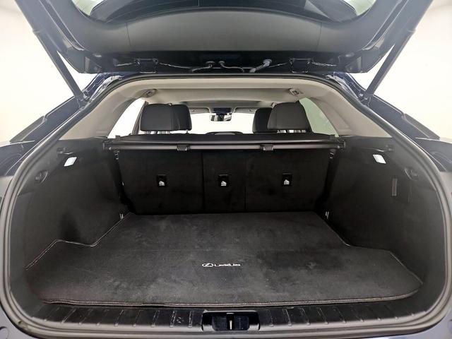 Photo of 2022 Blue Lexus RX 350