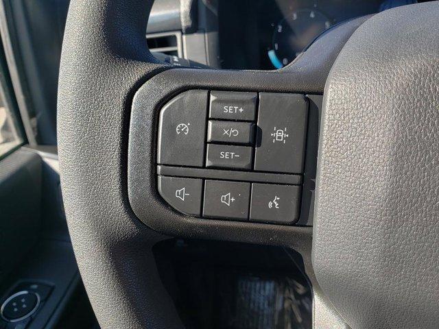 Photo of 2025 Oxford White Ford F-150