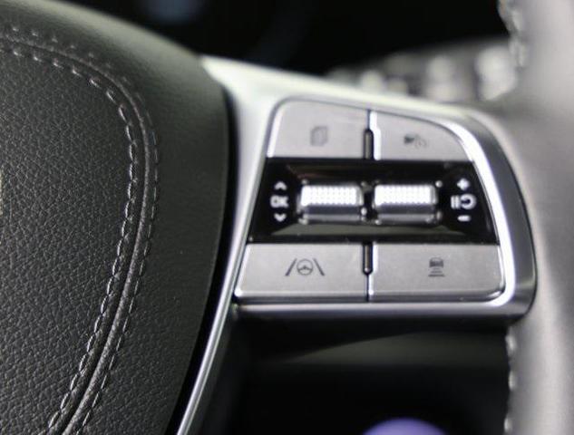 Photo of 2025 Ebony Black Kia Telluride