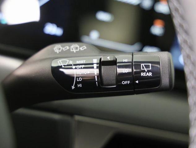 Photo of 2026 Panthera Metal Kia EV9