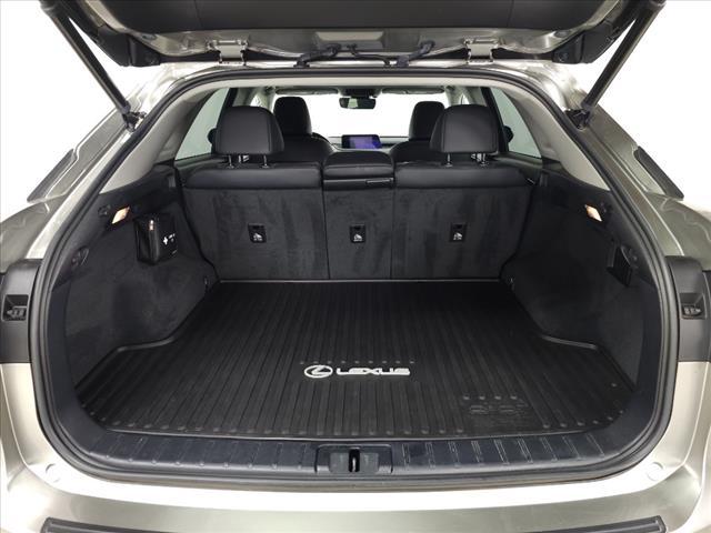 Photo of 2019 Atomic Lexus RX 350