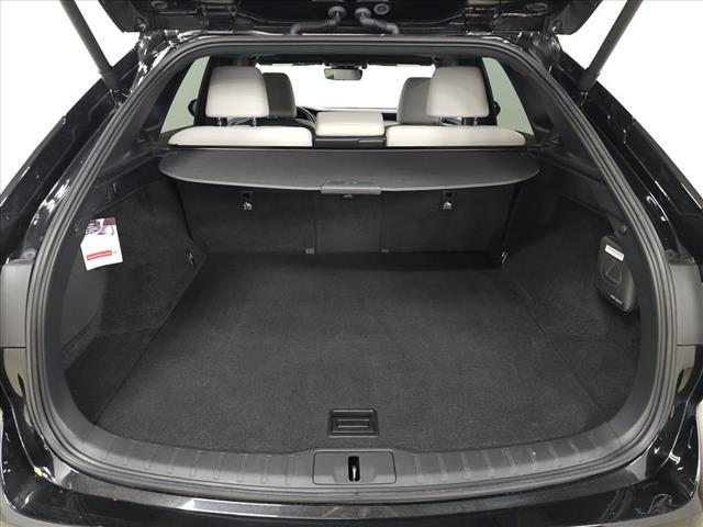 Photo of 2024 Caviar Lexus RX 350